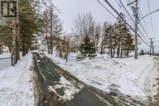 Photo 2: 452 Main Road in St. John's: Other for sale : MLS®# 1267627