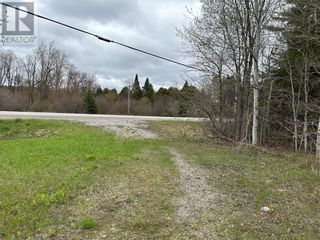 Photo 10: 2616 COUNTY ROAD 121 ROAD in Burnt River: Vacant Land for sale : MLS®# 1341523