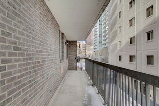 Photo 23: 203 215 14 Avenue SW in Calgary: Beltline Apartment for sale : MLS®# A1092010