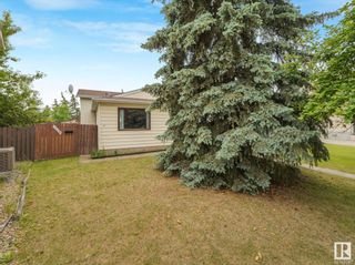 Photo 13: 17104 96 Street in Edmonton: Zone 28 House for sale : MLS®# E4395001