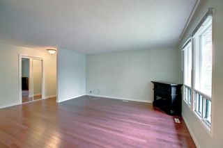 Photo 17: 48 Bedford Drive NE in Calgary: Beddington Heights Detached for sale : MLS®# A1250701
