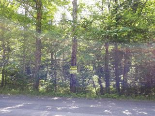 Photo 11: Meiklefield Road in Meiklefield: 108-Rural Pictou County Vacant Land for sale (Northern Region)  : MLS®# 202117504