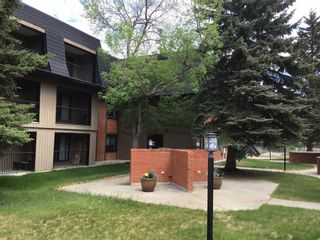 Photo 5: 3303 4001C 49 Street NW in Calgary: Varsity Apartment for sale : MLS®# A2052338