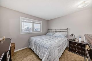 Photo 16: 3816 Dover Ridge Drive SE in Calgary: Dover Detached for sale : MLS®# A2124560