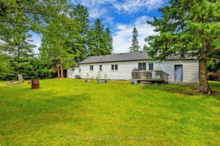 Photo 4: 209 Angeline Street N in Kawartha Lakes: Lindsay House (Bungalow) for sale : MLS®# X6680874