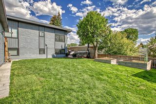 Photo 30: 12 Dalhurst Place in Calgary: Dalhousie Detached for sale : MLS®# A2053887