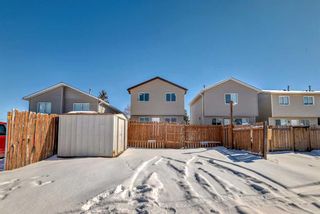 Photo 36: 76 Martinbrook Road NE in Calgary: Martindale Detached for sale : MLS®# A2119222