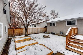 Photo 32: 2533 Sable Drive SE in Calgary: Southview Detached for sale : MLS®# A2120099