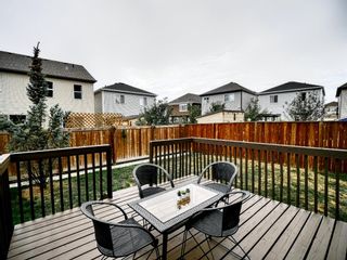 Photo 38: 185 Windford Rise SW: Airdrie Detached for sale : MLS®# A1256977