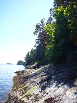 Photo 11: 148 Pilkey Point Road in Thetis Island: House  Land for sale : MLS®# 257031