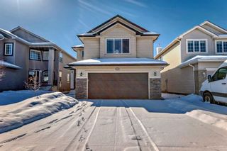Photo 1: 291 Evanston View NW in Calgary: Evanston Detached for sale : MLS®# A2119232