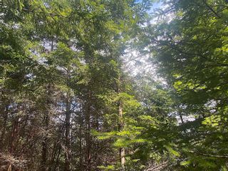 Photo 13: Lot 11 DISTRICT LOT 71 AND 77: Galiano Island Land for sale (Islands-Van. & Gulf)  : MLS®# R2871792