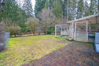 Photo 28: 25345 HILLAND Avenue in Maple Ridge: Websters Corners House for sale : MLS®# R2859001