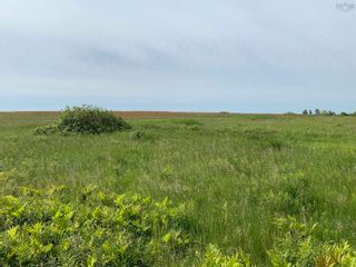 Photo 4: 56 Acre Lot Highway 215 in Kempt Shore: Hants County Vacant Land for sale (Annapolis Valley)  : MLS®# 202213737