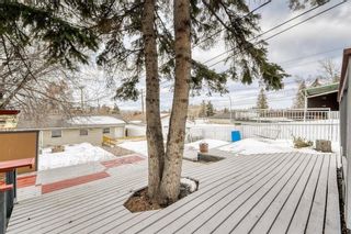 Photo 38: 2005 27 Street SE in Calgary: Southview Detached for sale : MLS®# A2021646