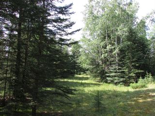 Photo 20: 108 32433 Range Road 61: Rural Mountain View County Residential Land for sale : MLS®# A1254404