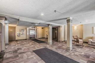 Photo 31: 207 647 1 Avenue NE in Calgary: Bridgeland/Riverside Apartment for sale : MLS®# A2105689