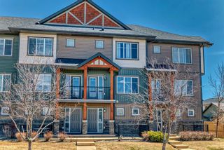 Photo 49: 248 Skyview Ranch Way NE in Calgary: Skyview Ranch Row/Townhouse for sale : MLS®# A2124749