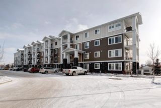 Photo 31: 4206 522 Cranford Drive SE in Calgary: Cranston Apartment for sale : MLS®# A1175545
