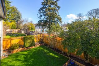 Photo 51: 3253 Doncaster Dr in Saanich: SE Cedar Hill House for sale (Saanich East)  : MLS®# 870104