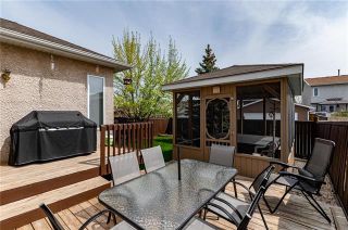 Photo 19: 49 Gobert Crescent in Winnipeg: River Park South Residential for sale (2F)  : MLS®# 1913790