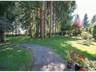 Photo 4: 13885 18TH Avenue in Surrey: Sunnyside Park Surrey House for sale (South Surrey White Rock)  : MLS®# F1431118