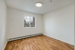 Photo 10: 2114 6224 17 Avenue SE in Calgary: Red Carpet Apartment for sale : MLS®# A2126709