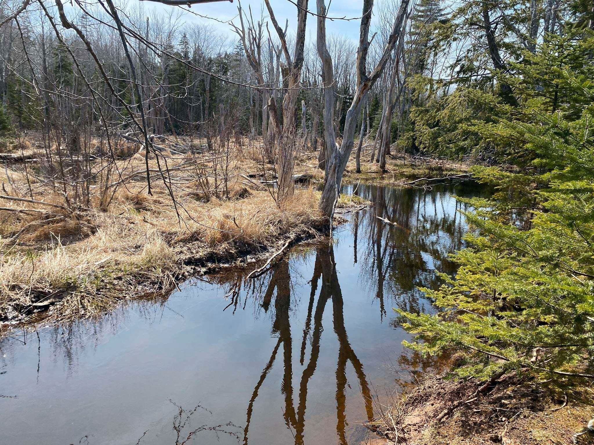 Main Photo: Lot 21 Lakeside Drive in Little Harbour: 108-Rural Pictou County Vacant Land for sale (Northern Region)  : MLS®# 202207907