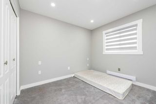 Photo 22: 287 Martindale Boulevard NE in Calgary: Martindale Detached for sale : MLS®# A2127561