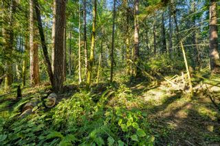 Photo 20: Lot 1 Telegraph Rd in Cobble Hill: ML Cobble Hill Land for sale (Malahat & Area)  : MLS®# 956650