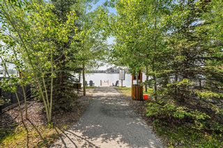 Photo 1: 456 Auburn Shores Landing SE in Calgary: Auburn Bay Detached for sale : MLS®# A2053035