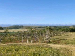 Photo 12: 306 Avenue W: Rural Foothills County Residential Land for sale : MLS®# A2084312