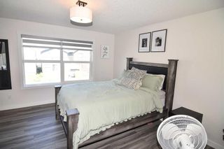Photo 22: 207 Homestead Drive NE in Calgary: C-686 Detached for sale : MLS®# A2069712