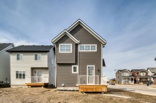 Photo 48: 129 Vista Drive: Crossfield Detached for sale : MLS®# A1020158