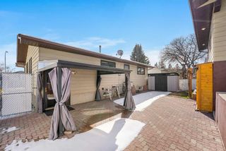 Photo 40: 7376 Silver Springs Road NW in Calgary: Silver Springs Detached for sale : MLS®# A2124387