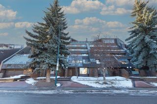 Photo 8: 402 1215 Cameron Avenue SW in Calgary: Lower Mount Royal Apartment for sale : MLS®# A2105989