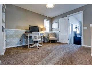 Photo 19: 41 ROYAL BIRCH Crescent NW in Calgary: Royal Oak House for sale : MLS®# C4041001