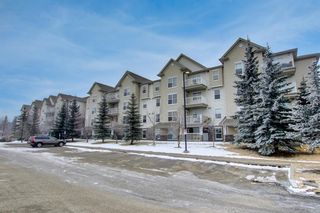 Photo 29: 302 2000 Applevillage Court in Calgary: Applewood Park Apartment for sale : MLS®# A1228911