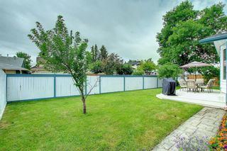 Photo 45: 256 Sunmills Place SE in Calgary: Sundance Detached for sale : MLS®# A1242862