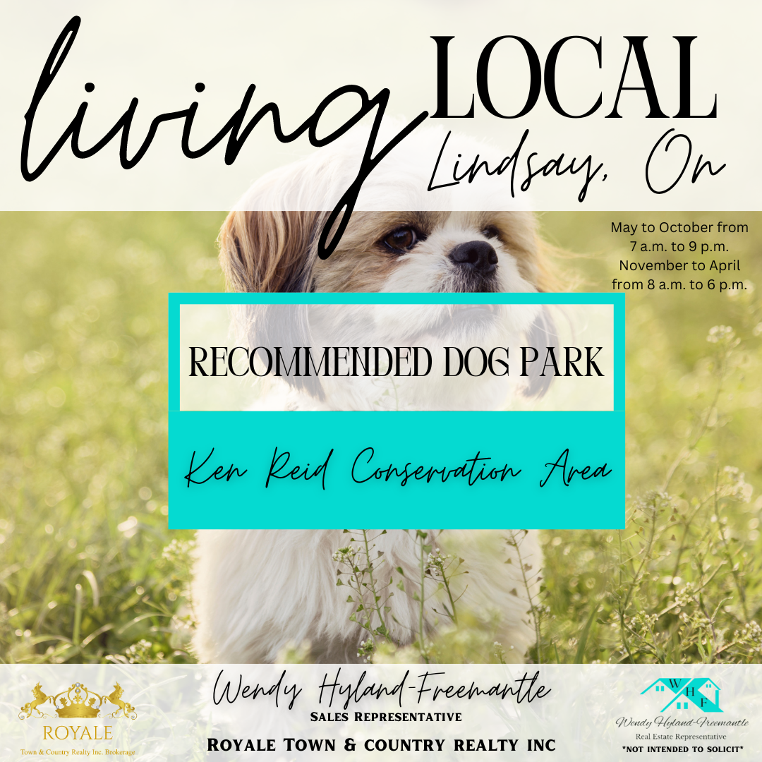 Living Local- Lindsay Ontario
