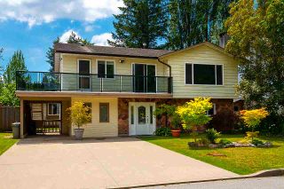 Photo 1: 20820 STONEY Avenue in Maple Ridge: Southwest Maple Ridge House for sale : MLS®# R2471486