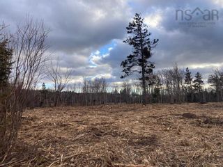 Photo 8: Lot 6 Shore Road in Ponds: 108-Rural Pictou County Vacant Land for sale (Northern Region)  : MLS®# 202227520