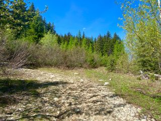 Photo 29: DL 1752 GIVEOUT CREEK FOREST SERVICE ROAD in Nelson: Vacant Land for sale : MLS®# 2469088