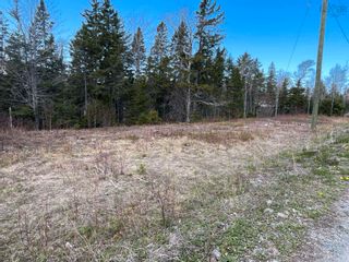 Photo 1: Lot 368 Mark Road in Riverton: 108-Rural Pictou County Vacant Land for sale (Northern Region)  : MLS®# 202308648