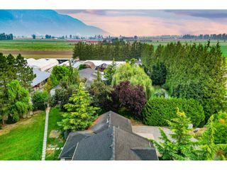 Photo 39: 3387 TOLMIE ROAD in Abbotsford: Agriculture for sale : MLS®# C8058323