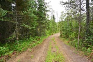Photo 5: DL 1335A 37 Highway: Kitwanga Land for sale (Smithers And Area (Zone 54))  : MLS®# R2471833