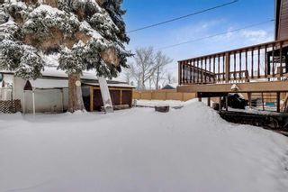 Photo 35: 6641 18 Street SE in Calgary: Ogden Detached for sale : MLS®# A2108644