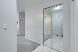 Photo 2: 202 21 Dover Point SE in Calgary: Dover Apartment for sale : MLS®# A1236669