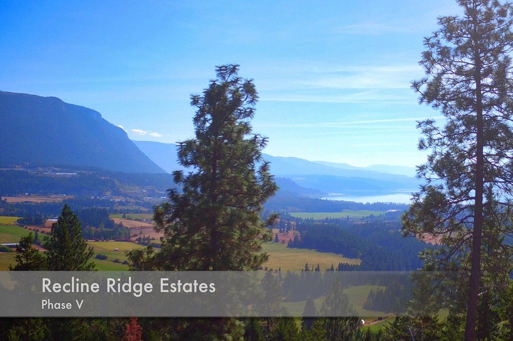 Photo 4: Photos: Lot 1 Recline Ridge Road in Tappen: Land Only for sale : MLS®# 10223916