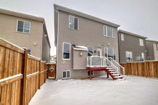 Photo 38: 91 Carrington Crescent NW in Calgary: Carrington Detached for sale : MLS®# A2120686